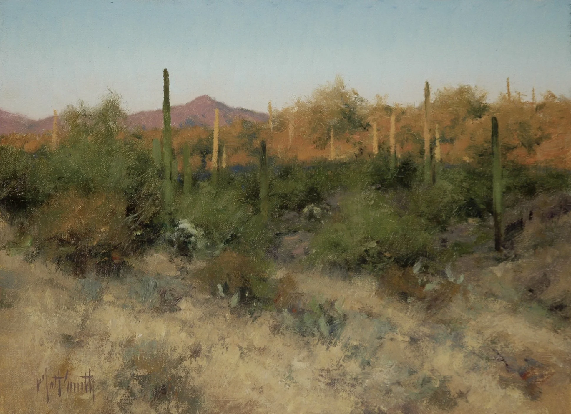 Matt Smith — Maxwell Alexander Gallery